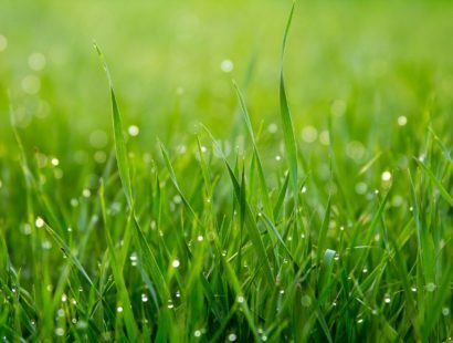 Conference: Flavian Style: How Art and Literature Shaped a New Age (Day 1)